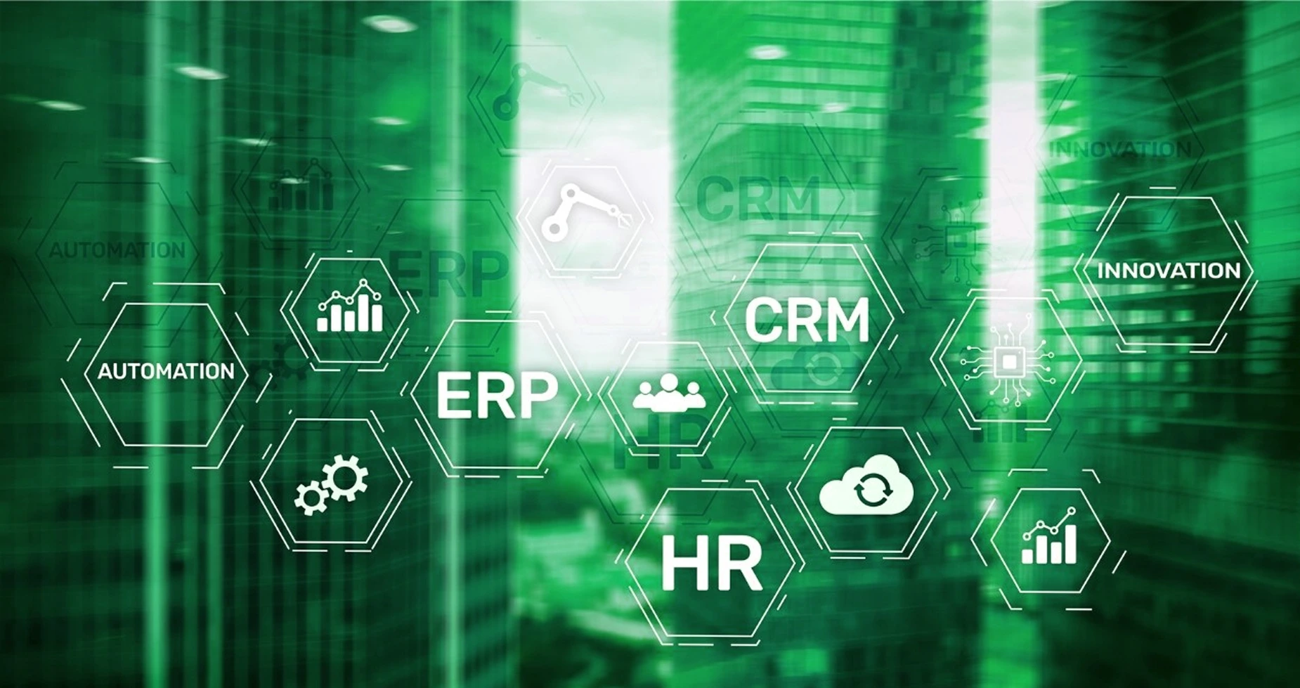 ERPNext Implementation & Integration