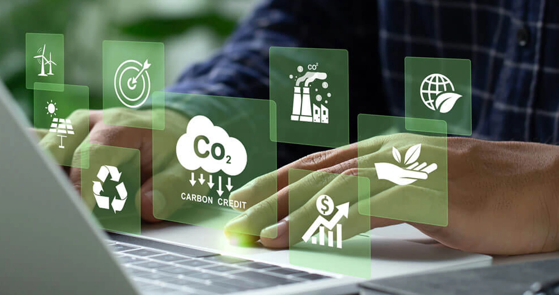 Sustainability & Carbon Management